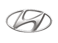 No Logo
